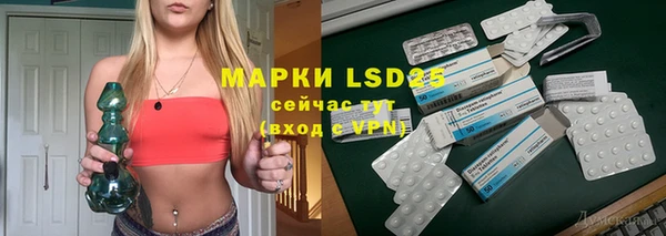 хмурый Аркадак