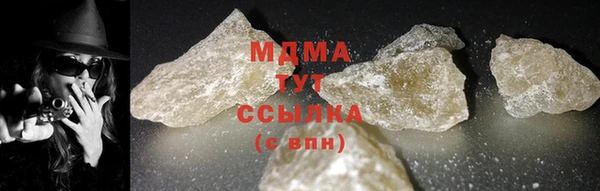 хмурый Аркадак