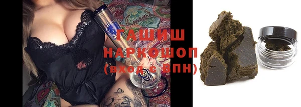 хмурый Аркадак
