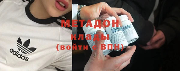 хмурый Аркадак
