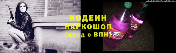 хмурый Аркадак