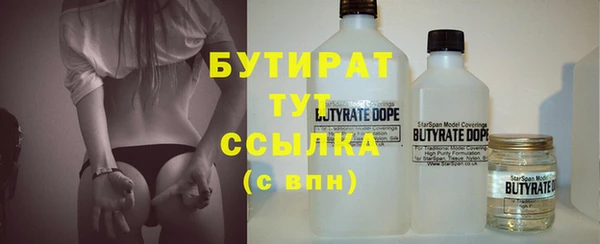 хмурый Аркадак