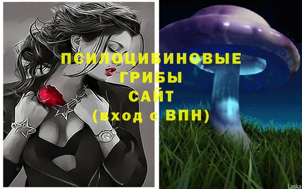 ECSTASY Армянск