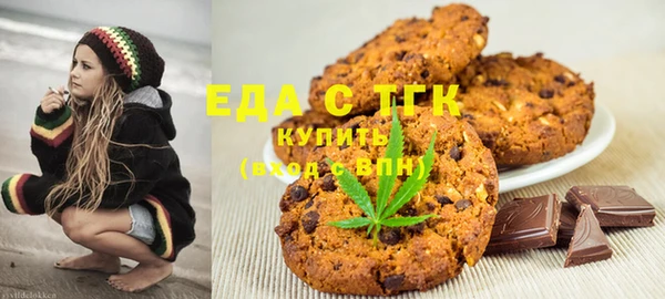 хмурый Аркадак