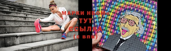 хмурый Аркадак