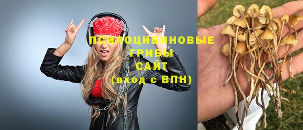 ECSTASY Армянск