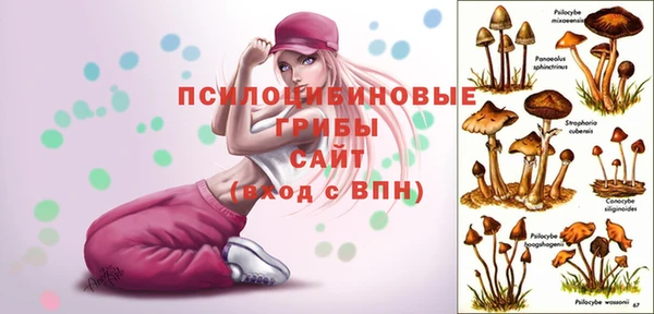 ECSTASY Армянск