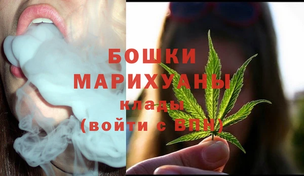хмурый Аркадак